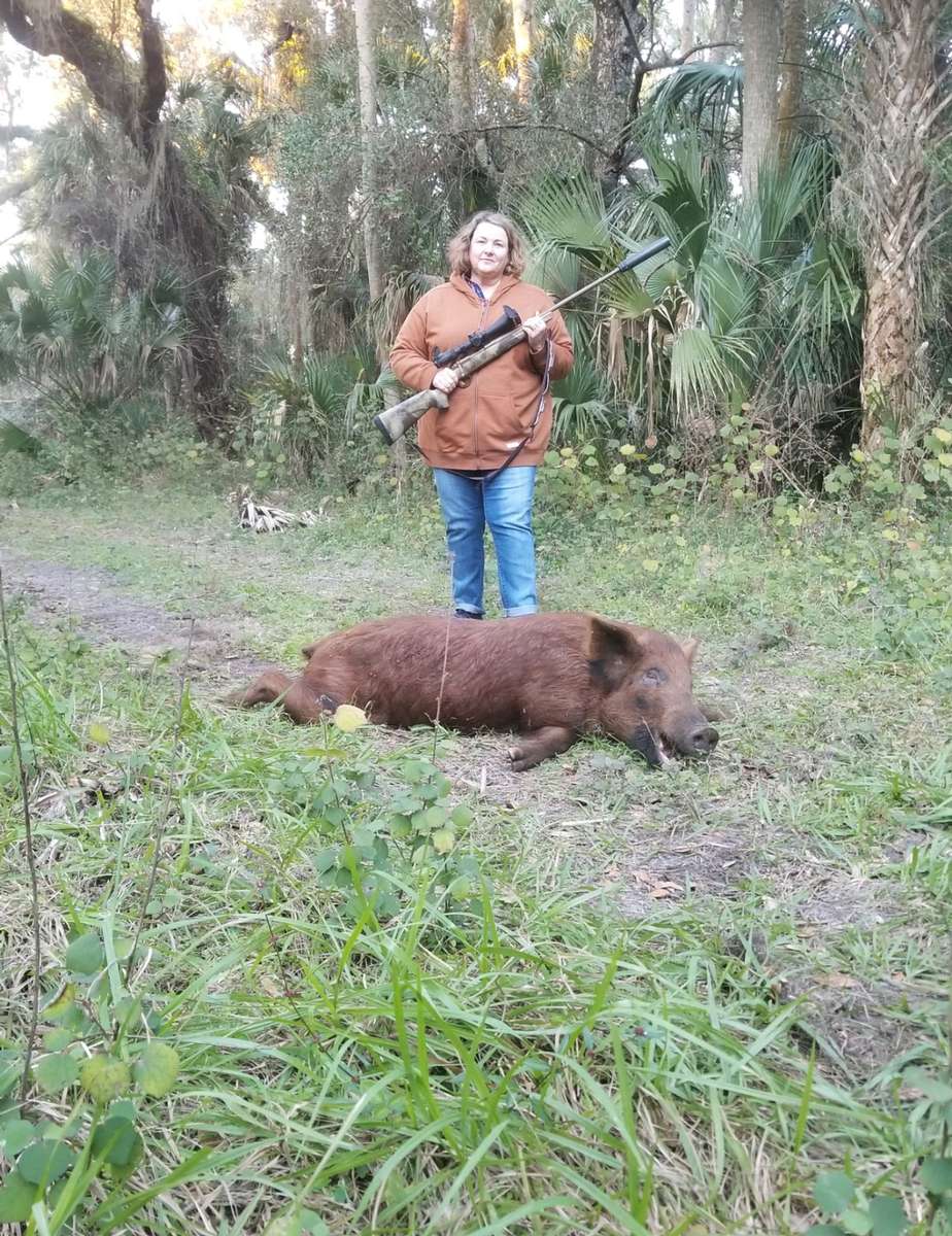 Hog Hunts