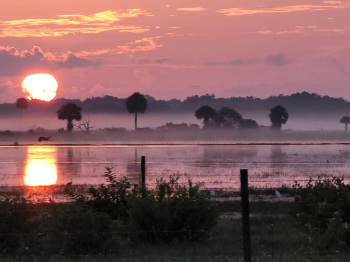 Guided Florida Alligator Hunts