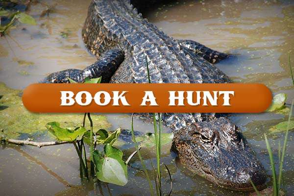 Book a Hunt with Big Slough Ranch